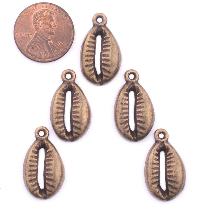 Antiqued Brass Cowrie Shell Charms (Set of 5) - The Bead Chest