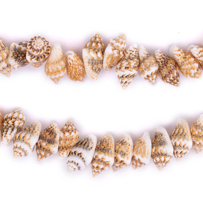 Brown Tiger Natural Shell Beads - The Bead Chest