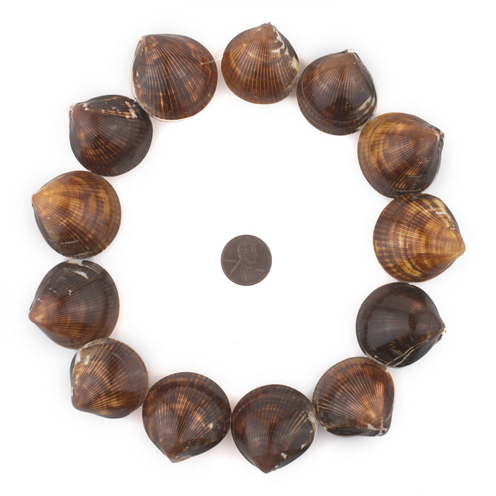 Sand Dweller Decorative Sea Shell Beads - The Bead Chest