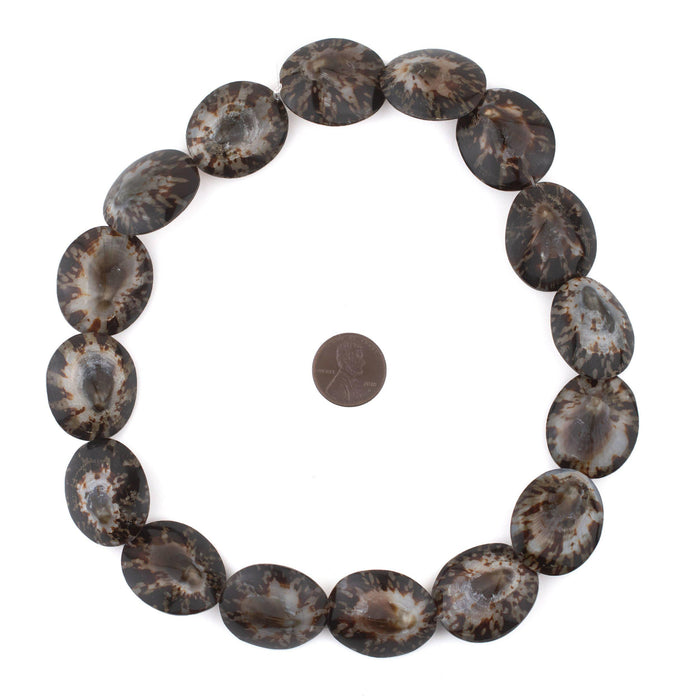 Rock Hugger Decorative Sea Shell Beads - The Bead Chest