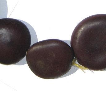 Natural Plant Sea Bean Beads - The Bead Chest