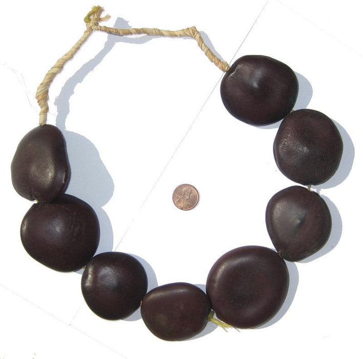 Natural Plant Sea Bean Beads - The Bead Chest